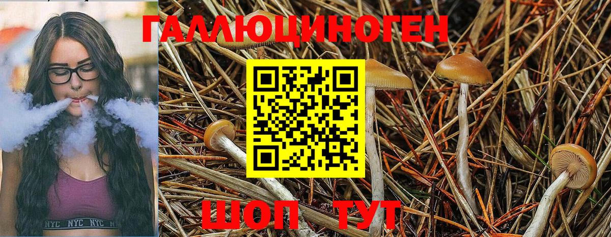Серов  Псилоцибиновые грибы Psilocybe  купить наркотики сайты  Вход с VPN 